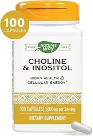 Natures Way Choline & Inositol Capsules 100S