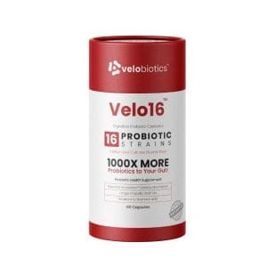 Velo16 Probiotic Digestive Capsules 60 Capsules