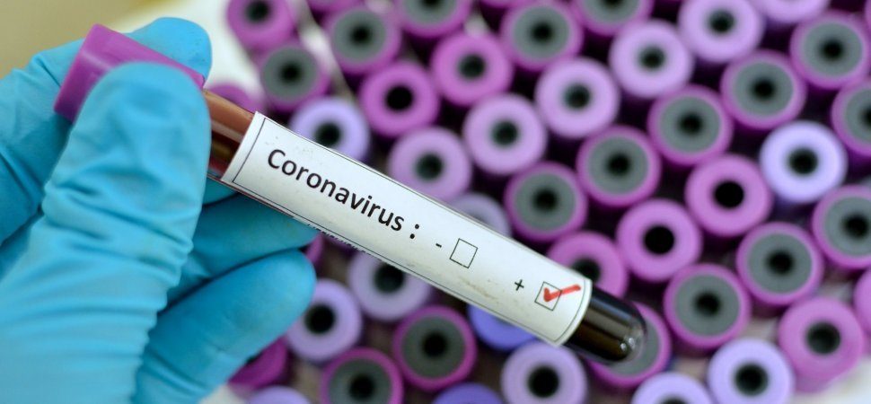 Corona Virus- Everything you Need to Know